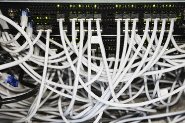 Kat. 5-Kabel, die an Server in einer Computer-Server-Farm angeschlossen sind. - MINF08336