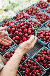 Nahaufnahme einer Person, die ein Körbchen mit frischen roten Kirschen auf einem Obst- und Gemüsemarkt hält. - MINF08417