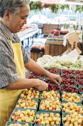 Mann mit Schürze steht an einem Stand mit Körben frischer Kirschen auf einem Obst- und Gemüsemarkt. - MINF08420