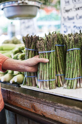 Nahaufnahme einer menschlichen Hand, die ein Bündel frischen grünen Spargels auf einem Obst- und Gemüsemarkt hält. - MINF08424