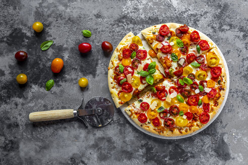Pizzaschnitten mit Tomaten und Basilikumblättern - SARF03899