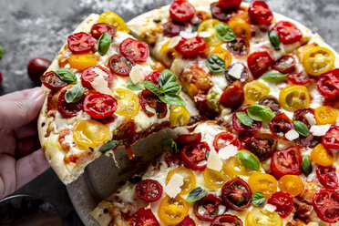 Hand holding slice of pizza with tomatoes and basil leaves - SARF03900