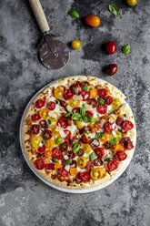 Pizzaschnitten mit Tomaten und Basilikumblättern - SARF03901