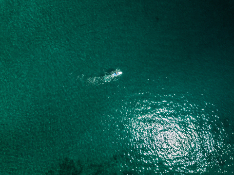 Kroatien, Cres, Adriatisches Meer, Luftaufnahme von Stand Up Paddle Surfing, lizenzfreies Stockfoto