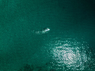 Kroatien, Cres, Adriatisches Meer, Luftaufnahme von Stand Up Paddle Surfing - DAWF00705