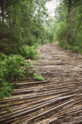 Russland, Straße mit Holz im Wald - KNTF01214