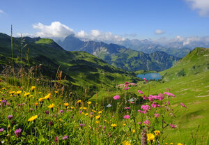 Deutschland, Bayern, Allgäuer Alpen, Blick vom Zeigersattel zum Seealpsee mit Hoefats - SIEF07869