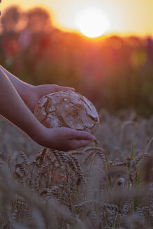 Hände eines Teenagers, der frisches Brot über einem Weizenfeld hält - LBF02017