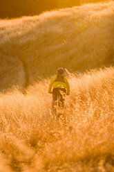 Junger Mann beim Radfahren in der Nähe von Bolinas Ridge; Mt. Tamalpais State Park, Golden Gate National Recreation Area, San Francisco, CA - AURF00282