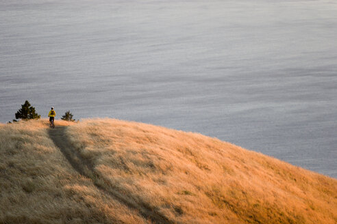 Junger Mann beim Radfahren in der Nähe von Bolinas Ridge; Mt. Tamalpais State Park, Golden Gate National Recreation Area, San Francisco, CA - AURF00285