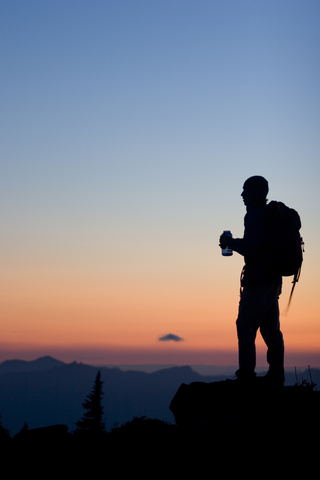 Junger Mann beim Wandern im Mount Rainier National Park, WA, lizenzfreies Stockfoto