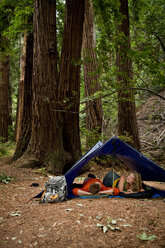 Ein junges Paar zeltet in den Redwood-Wäldern von Big Sur. - AURF00408