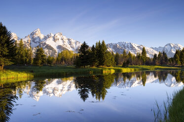 Die Tetons spiegeln sich in Schwabacher's Landing im Grand Teton National Park, Wyoming. - AURF00495