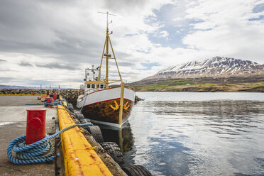 Iceland, Hauganes, Whale watching ship at harbour - KEBF00868