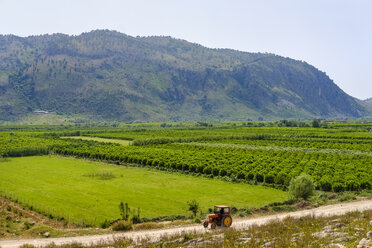 Albanien, Bezirk Vlore, Konispol, Traktor und Plantagen - SIE07874