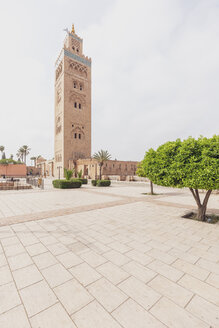 Marokko, Marrakesch, Blick auf die Koutoubia-Moschee - MMAF00488
