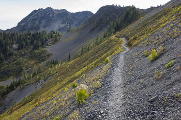 Wanderweg in den North Cascades, Pacific Crest Trail durch unberührte alpine Wildnis, Herbst, nahe Granite Pass, Pasayten Wilderness, Okanogan National Forest, Washington. - MINF08667