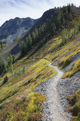 Wanderweg in den North Cascades, Pacific Crest Trail durch unberührte alpine Wildnis, Herbst, nahe Granite Pass, Pasayten Wilderness, Okanogan National Forest, Washington. - MINF08669
