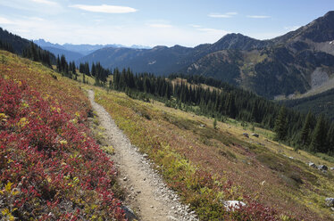 Wanderweg in den North Cascades, Pacific Crest Trail durch unberührte alpine Wildnis, Herbst, nahe Granite Pass, Pasayten Wilderness, Okanogan National Forest, Washington. - MINF08670