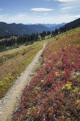 Wanderweg in den North Cascades, Pacific Crest Trail durch unberührte alpine Wildnis, Herbst, nahe Granite Pass, Pasayten Wilderness, Okanogan National Forest, Washington. - MINF08671