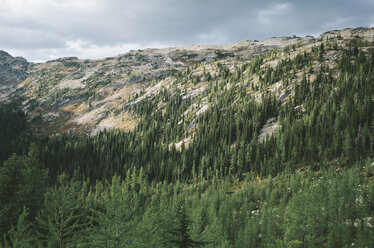 Fall in the North Cascades, near Cutthroat Pass, Washington. - MINF08673