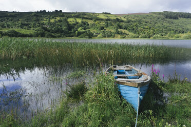 Blaues Holzruderboot am Ufer des Glenade Lake, Glenade, County Leitrim, Irland. - MINF08678