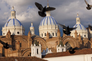 Pigeons mid-air with blue-tile domes of 19th century cathedral in the background. - MINF08728