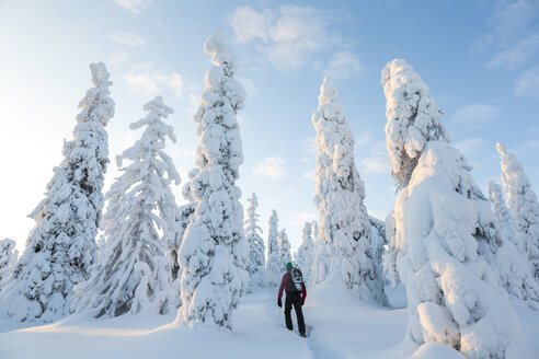 Rückansicht eines Mannes, der durch einen Wald mit schneebedeckten Bäumen läuft. - MINF08731