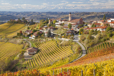 Mediterrane Hügellandschaft mit Weinbergen und Stadt auf einem Hügel. - MINF08746