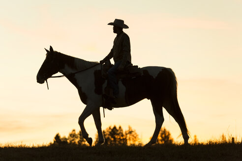 Cowboy auf dem Pferderücken in einer Prärie-Landschaft bei Sonnenuntergang. - MINF08776