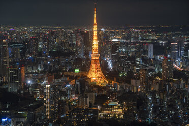 Cityscape of large city with illuminated skyscraper at night. - MINF08820