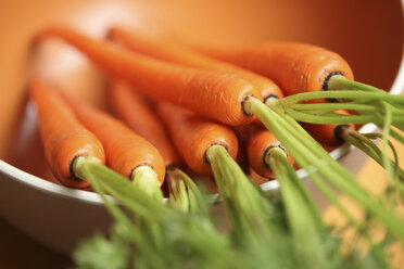 Carrots - AURF00602