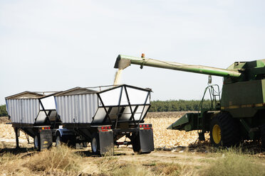 Getreide wird in einen Lastwagen verladen, Central Valley, Kalifornien. - AURF00622