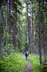 A young man walks along a trail in Glacier National Park, MT. - AURF00707