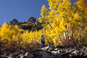 A young woman hiking stops to enjoy the amazing fall colors in Colorado. - AURF00746