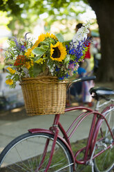 Ein altes Crusier-Fahrrad mit einem Korb voller schöner Blumen steht auf einem offenen Markt. - AURF00878