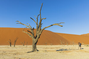 Afrika, Namibia, Namib-Wüste, Naukluft-Nationalpark, - FOF10076