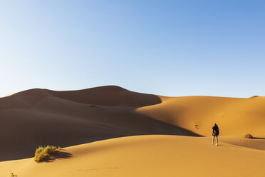 Afrika, Namibia, Namib-Wüste, Naukluft-Nationalpark, Touristin geht auf Düne - FOF10078