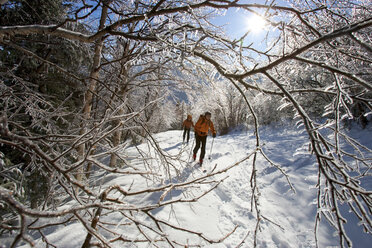 Zwei Männer, die den Tuckerman's Ravine Trail und den Shelburn Trail mit Backcountry-Skiern hinauffahren. - AURF00918