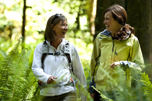 Zwei Wanderer gehen einen Weg, der durch einen Wald mit grünen Farnen, dichtem Moos und großen Bäumen führt. - AURF00923