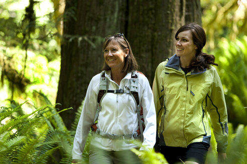 Zwei Wanderer gehen einen Weg, der durch einen Wald mit grünen Farnen, dichtem Moos und großen Bäumen führt. - AURF00924