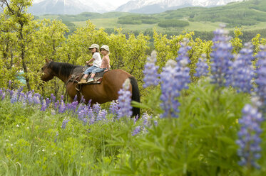 Zwei junge Mädchen reiten auf einem Weg an Lupinenblüten vorbei in der Nähe von Telluride, Colorado. - AURF00928