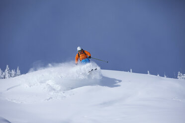 Ein sportlicher Skifahrer zieht an einem sonnigen Tag in Colorado frische Tiefschneekurven im Backcountry. - AURF01012