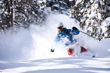 A athletic skier rips fresh deep powder turns in the backcountry on a sunny day in Colorado. - AURF01016