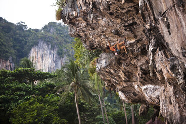 A athletic woman rock climbing in the jungle in Thailand. - AURF01044