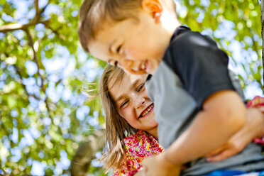 Ein Junge und ein Mädchen klettern auf einen Baum in Garden City, Utah. - AURF01091