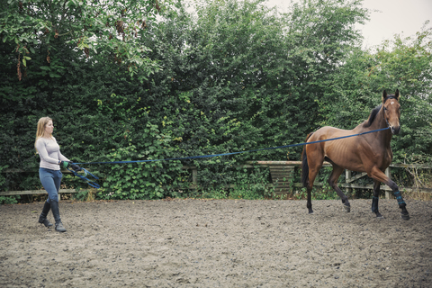 Frau trainiert ein braunes Pferd auf einer Koppel., lizenzfreies Stockfoto