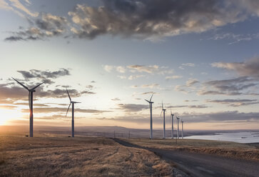 Eine Gruppe von Windkraftanlagen neben einer Straße in einer Moorlandschaft an der Küste in der Morgendämmerung. - MINF09026