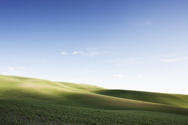 Wheat field areas of eastern Washington, USA - MINF09074