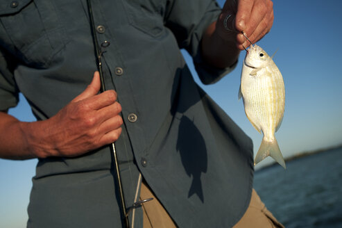 Ein Mann zeigt seinen kleinen Fang beim Angeln in Florida. - AURF01133